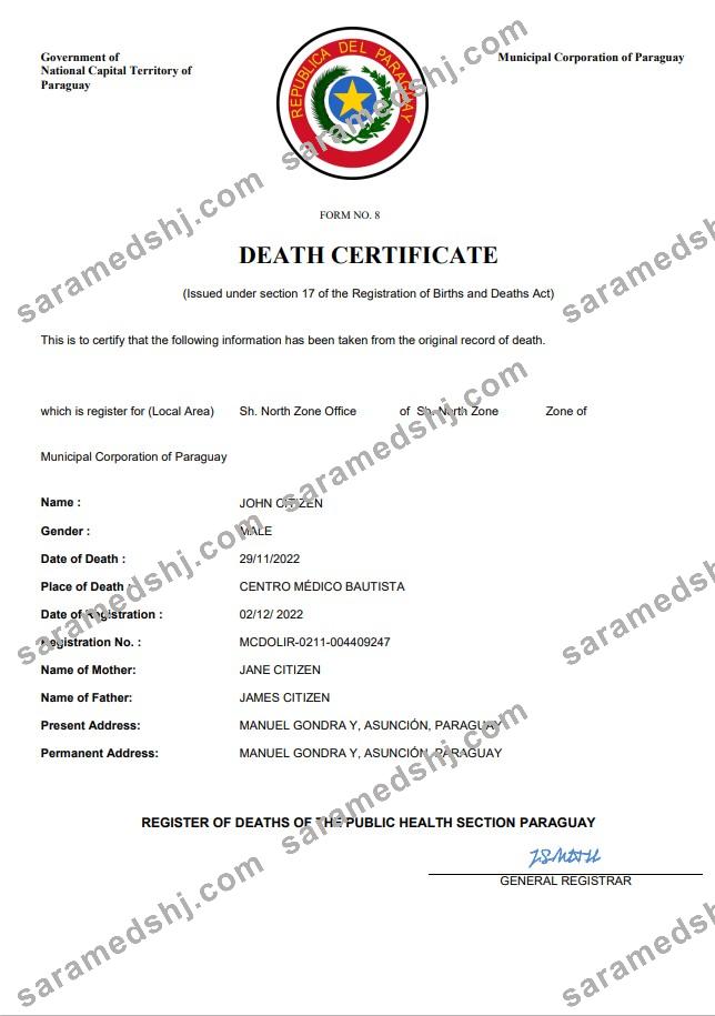 Paraguay death certificate Word and PDF template